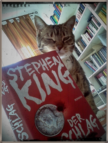 Stephen King: Der Anschlag ©buchjunkie.wordpress.com